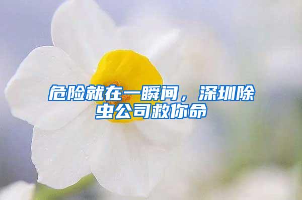 危险就在一瞬间，深圳除虫公司救你命