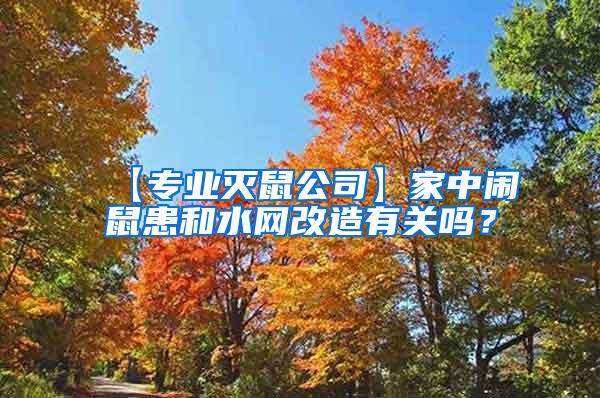 【专业灭鼠公司】家中闹鼠患和水网改造有关吗？