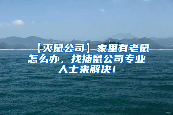 【灭鼠公司】家里有老鼠怎么办，找捕鼠公司专业人士来解决！