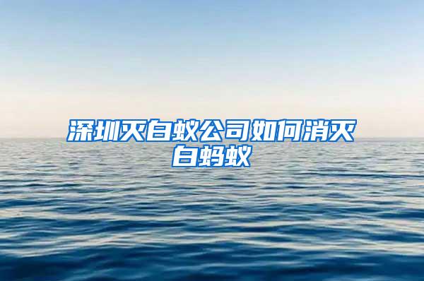深圳灭白蚁公司如何消灭白蚂蚁