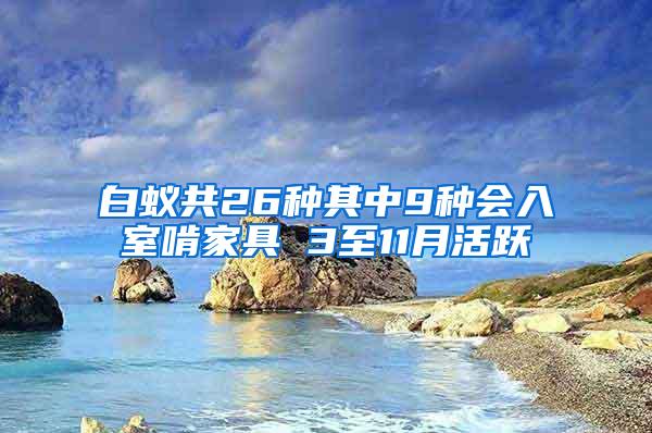 白蚁共26种其中9种会入室啃家具 3至11月活跃