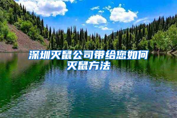 深圳灭鼠公司带给您如何灭鼠方法