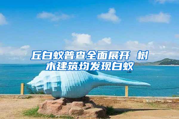 丘白蚁普查全面展开 树木建筑均发现白蚁