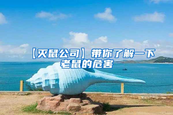 【灭鼠公司】带你了解一下老鼠的危害