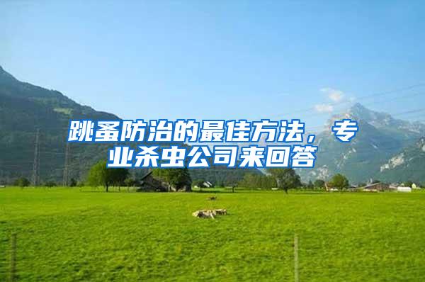 跳蚤防治的最佳方法，专业杀虫公司来回答