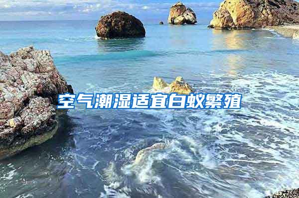 空气潮湿适宜白蚁繁殖