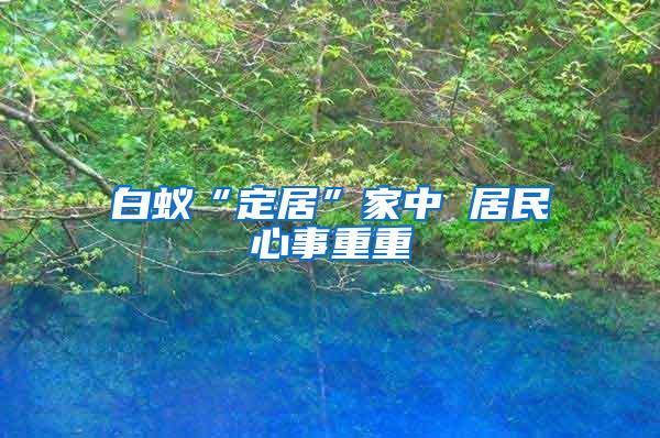 白蚁“定居”家中 居民心事重重