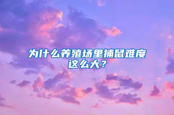 为什么养殖场里捕鼠难度这么大？