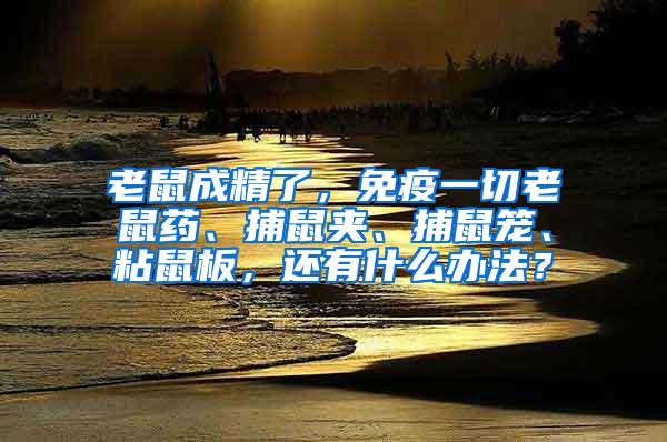 老鼠成精了，免疫一切老鼠药、捕鼠夹、捕鼠笼、粘鼠板，还有什么办法？