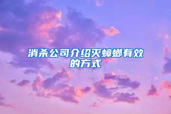 消杀公司介绍灭蟑螂有效的方式