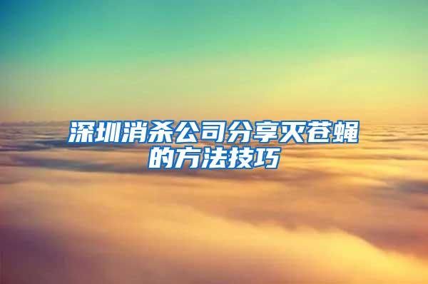 深圳消杀公司分享灭苍蝇的方法技巧