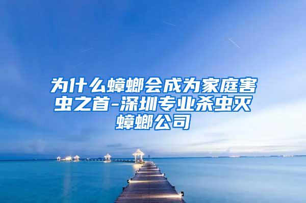 为什么蟑螂会成为家庭害虫之首-深圳专业杀虫灭蟑螂公司