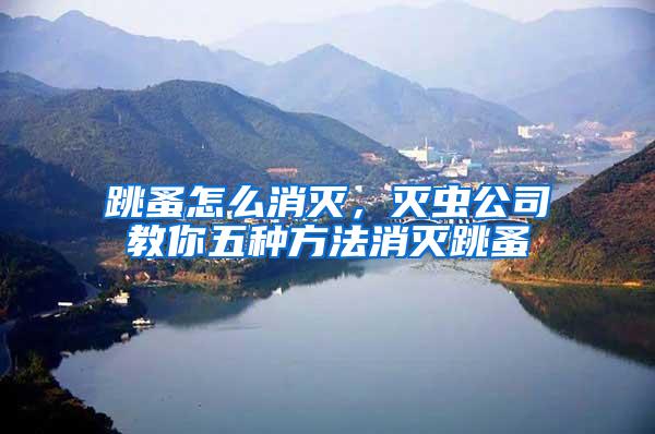 跳蚤怎么消灭，灭虫公司教你五种方法消灭跳蚤