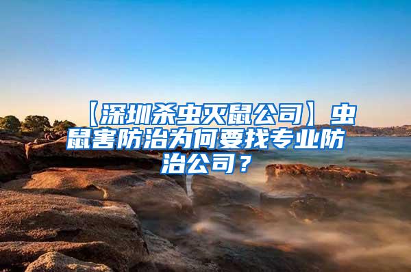 【深圳杀虫灭鼠公司】虫鼠害防治为何要找专业防治公司？