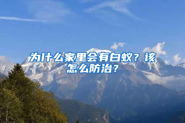 为什么家里会有白蚁？该怎么防治？