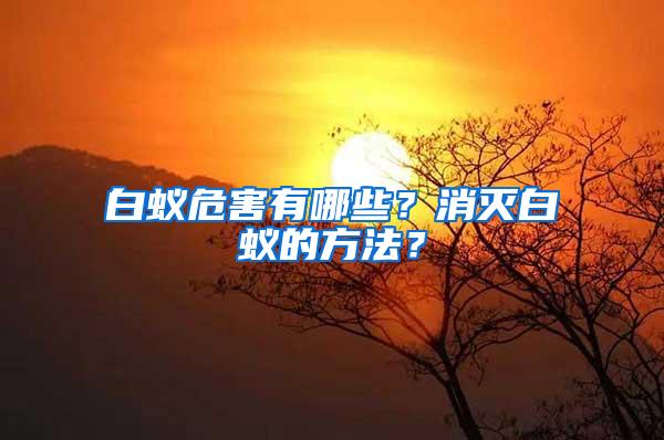 白蚁危害有哪些？消灭白蚁的方法？