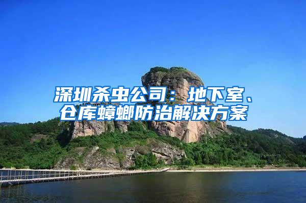 深圳杀虫公司：地下室、仓库蟑螂防治解决方案