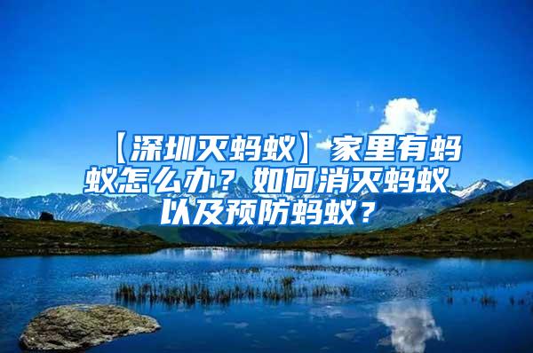 【深圳灭蚂蚁】家里有蚂蚁怎么办？如何消灭蚂蚁以及预防蚂蚁？