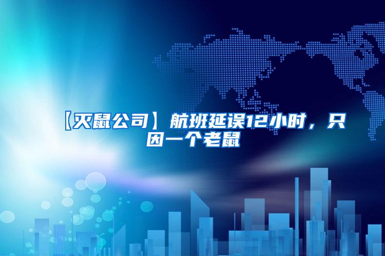 【灭鼠公司】航班延误12小时，只因一个老鼠