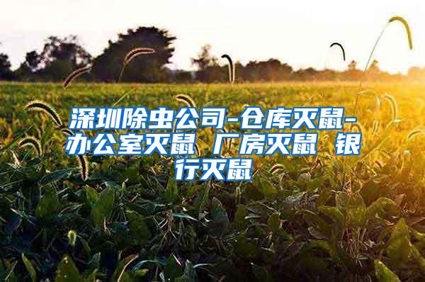 深圳除虫公司-仓库灭鼠-办公室灭鼠 厂房灭鼠 银行灭鼠