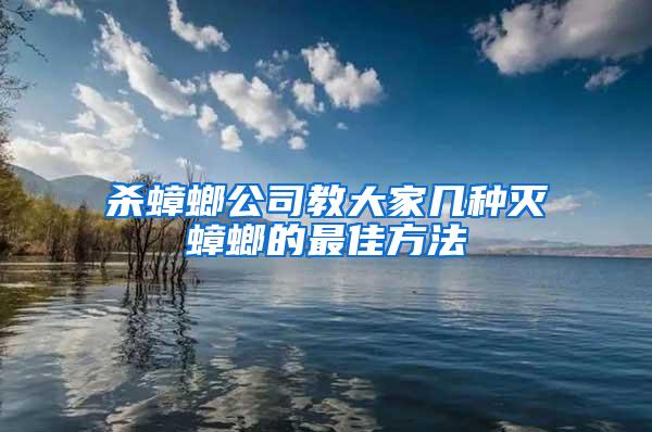 杀蟑螂公司教大家几种灭蟑螂的最佳方法