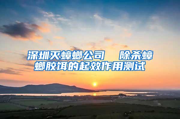 深圳灭蟑螂公司  除杀蟑螂胶饵的起效作用测试