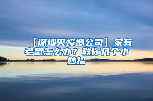 【深圳灭蟑螂公司】家有老鼠怎么办？教你几个小妙招