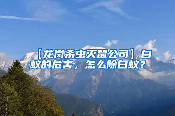 【龙岗杀虫灭鼠公司】白蚁的危害，怎么除白蚁？