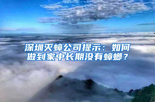 深圳灭蟑公司提示：如何做到家中长期没有蟑螂？