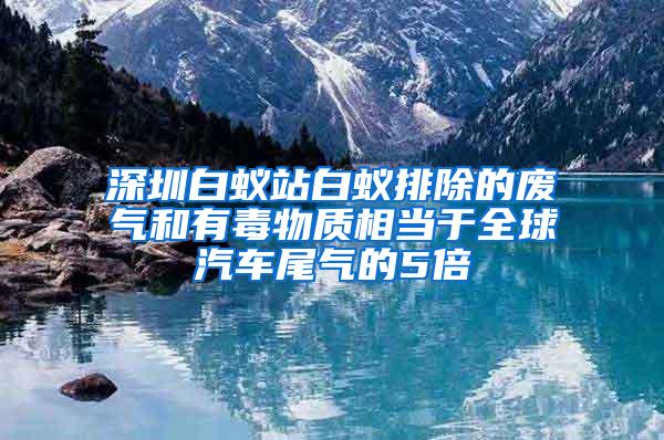 深圳白蚁站白蚁排除的废气和有毒物质相当于全球汽车尾气的5倍