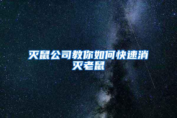 灭鼠公司教你如何快速消灭老鼠