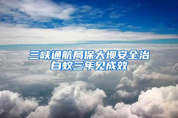 三峡通航局保大坝安全治白蚁三年见成效