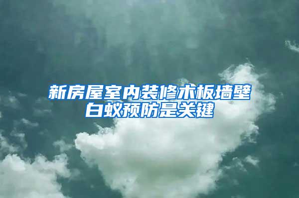 新房屋室内装修木板墙壁白蚁预防是关键