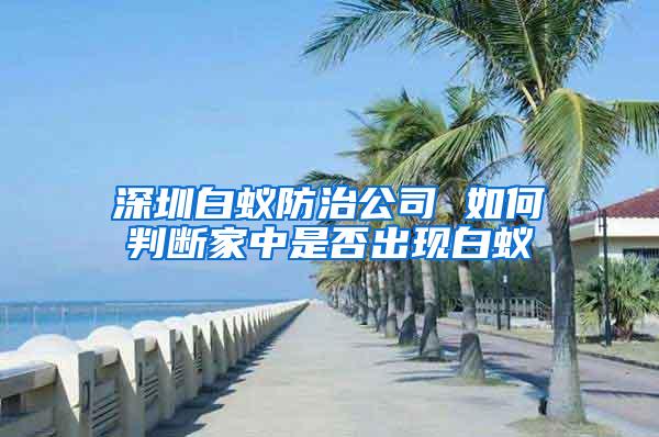 深圳白蚁防治公司 如何判断家中是否出现白蚁