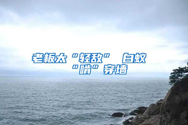 老板太“轻敌” 白蚁“啃”穿墙