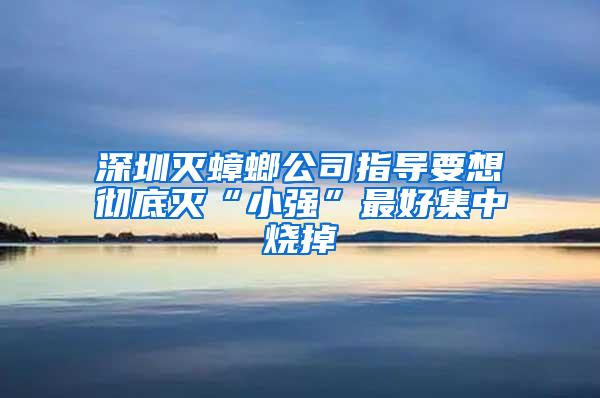 深圳灭蟑螂公司指导要想彻底灭“小强”最好集中烧掉