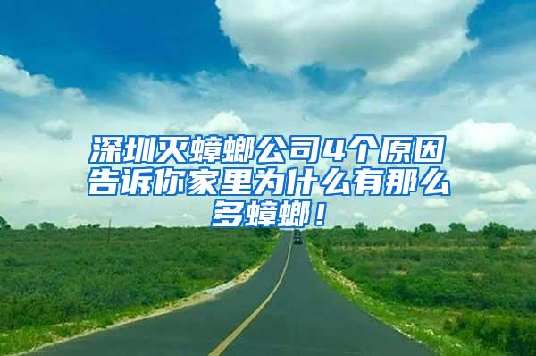 深圳灭蟑螂公司4个原因告诉你家里为什么有那么多蟑螂！