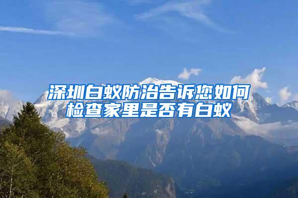 深圳白蚁防治告诉您如何检查家里是否有白蚁