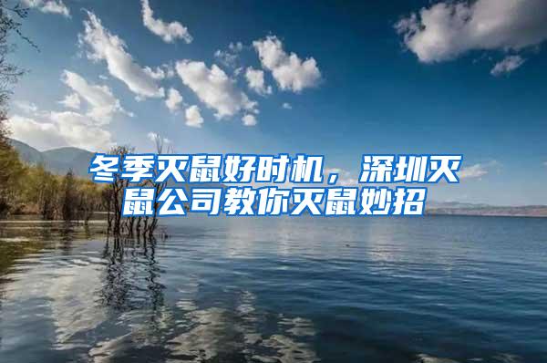 冬季灭鼠好时机，深圳灭鼠公司教你灭鼠妙招