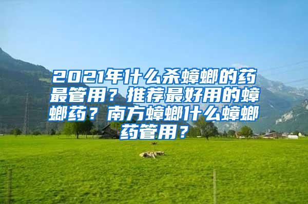 2021年什么杀蟑螂的药最管用？推荐最好用的蟑螂药？南方蟑螂什么蟑螂药管用？