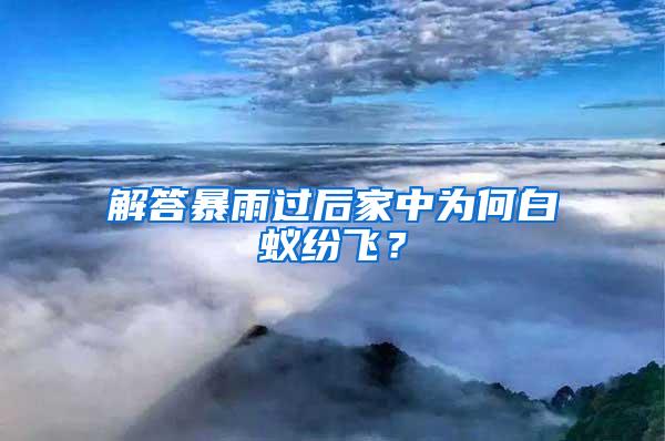 解答暴雨过后家中为何白蚁纷飞？