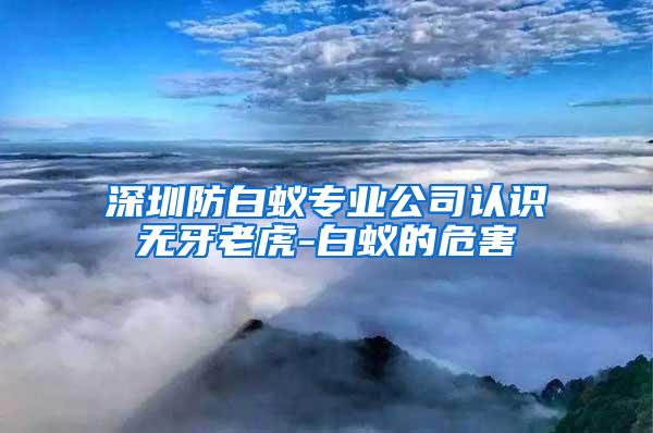 深圳防白蚁专业公司认识无牙老虎-白蚁的危害