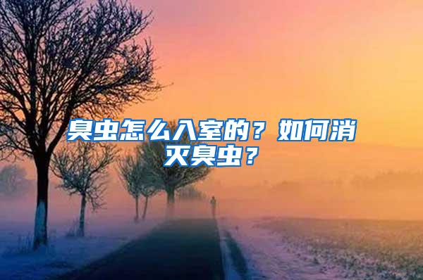 臭虫怎么入室的？如何消灭臭虫？