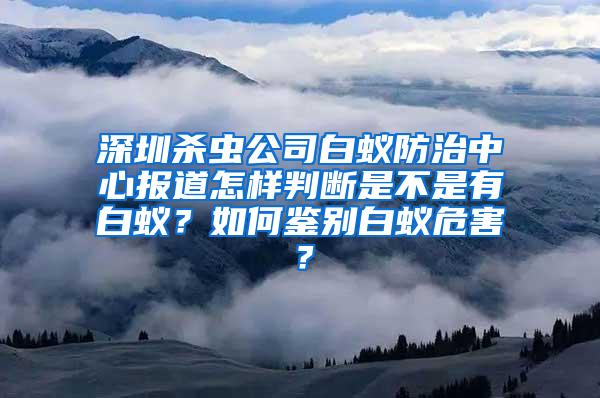 深圳杀虫公司白蚁防治中心报道怎样判断是不是有白蚁？如何鉴别白蚁危害？