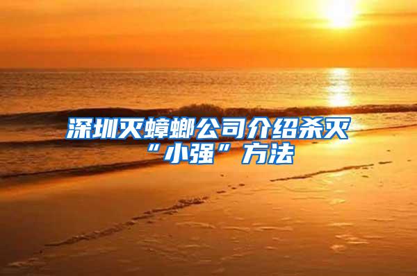 深圳灭蟑螂公司介绍杀灭“小强”方法