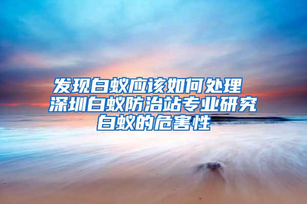 发现白蚁应该如何处理 深圳白蚁防治站专业研究白蚁的危害性