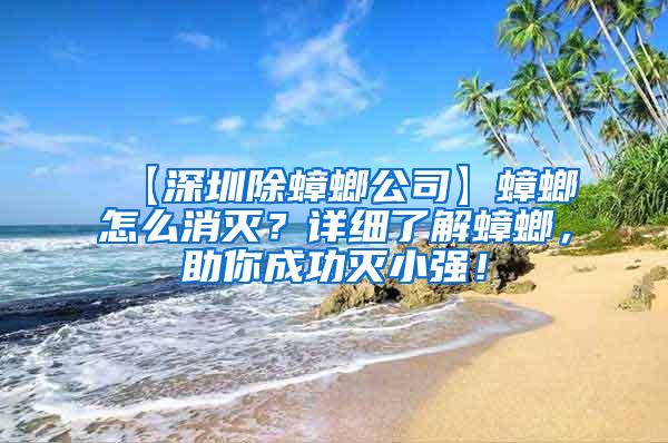 【深圳除蟑螂公司】蟑螂怎么消灭？详细了解蟑螂，助你成功灭小强！