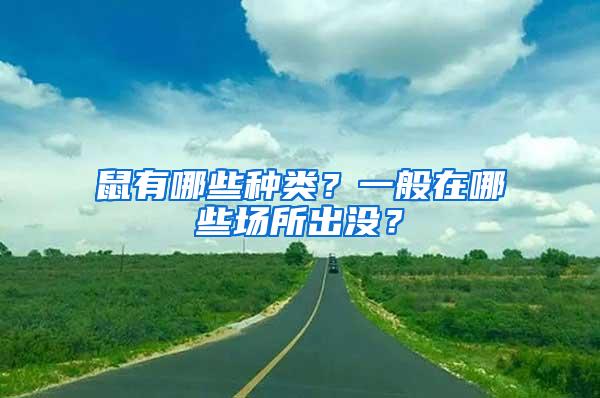 鼠有哪些种类？一般在哪些场所出没？