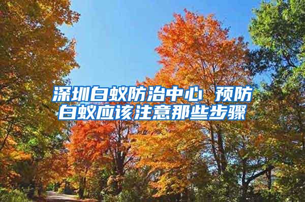 深圳白蚁防治中心 预防白蚁应该注意那些步骤