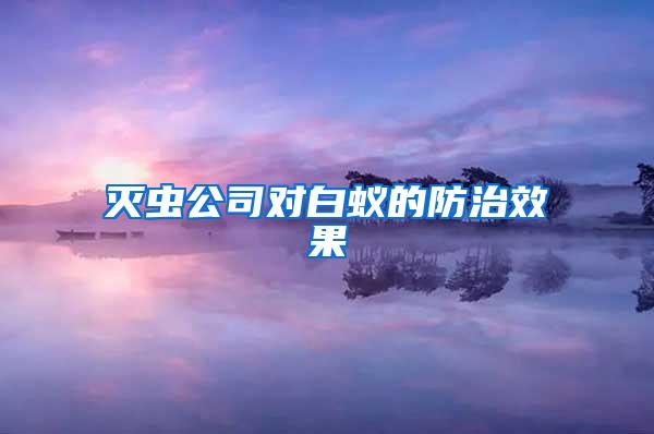 灭虫公司对白蚁的防治效果